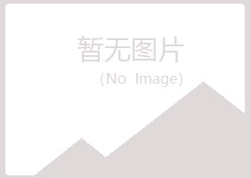 宁夏白山培训有限公司